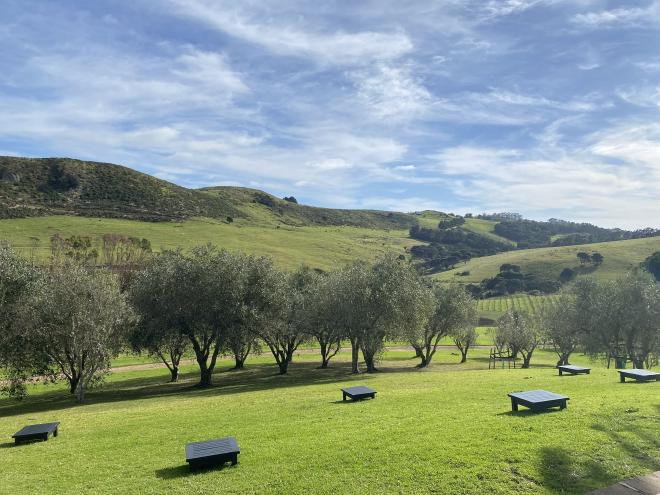 The view out over Stonyridge Vineyard