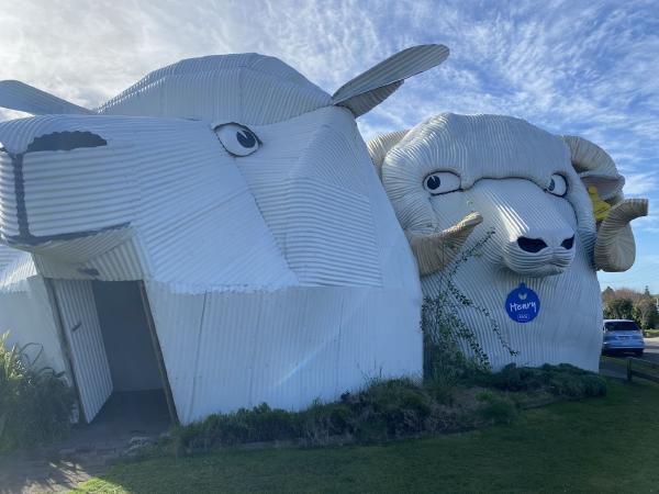 I visited New Zealand - Part 2