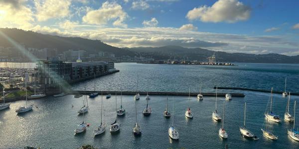 I visited New Zealand - Part 4