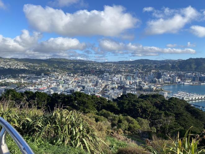 A view over Wellington from Mount Victoria
