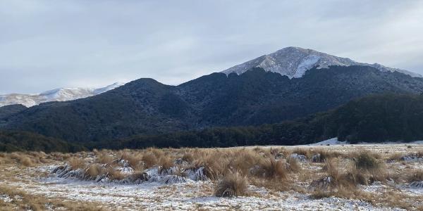 I visited New Zealand - Part 6