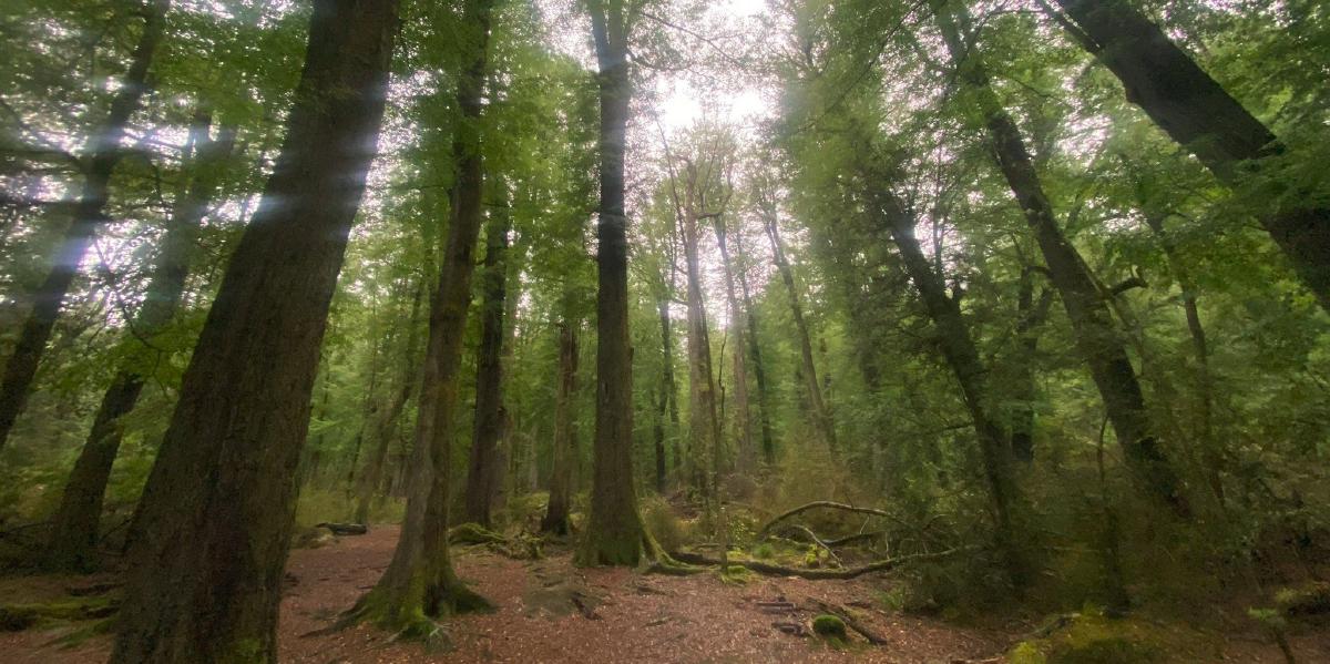 I visited New Zealand - Part 7