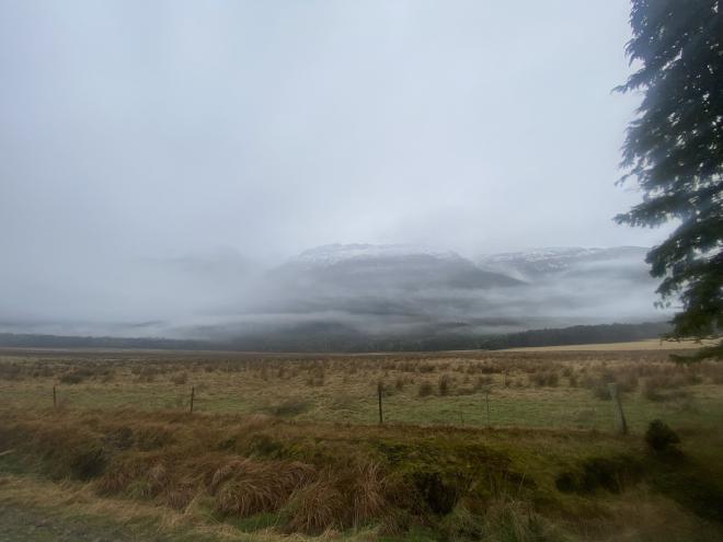 A mist covered Lothlórien
