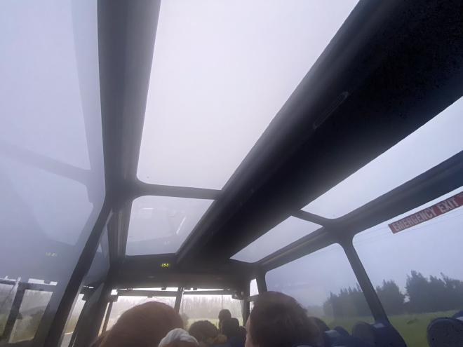 Windows as far as the eye can see