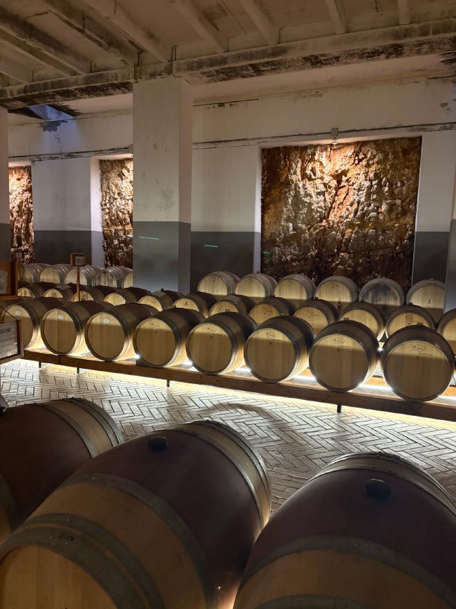The cellar at Tenute Girolamo