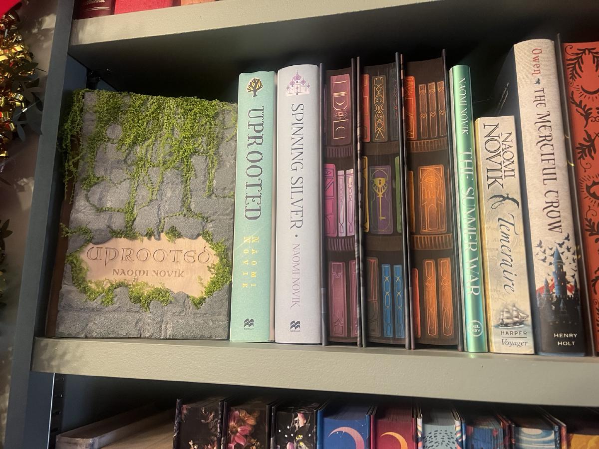 A Year in Review - 2025 - Books