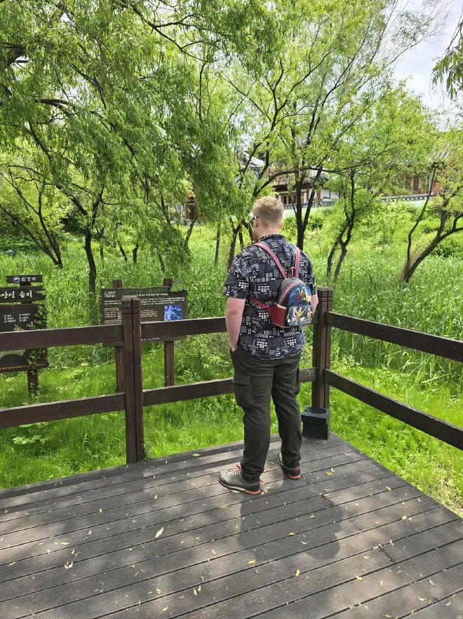 A man standing on a wooden deck stares at an informational sign in a park