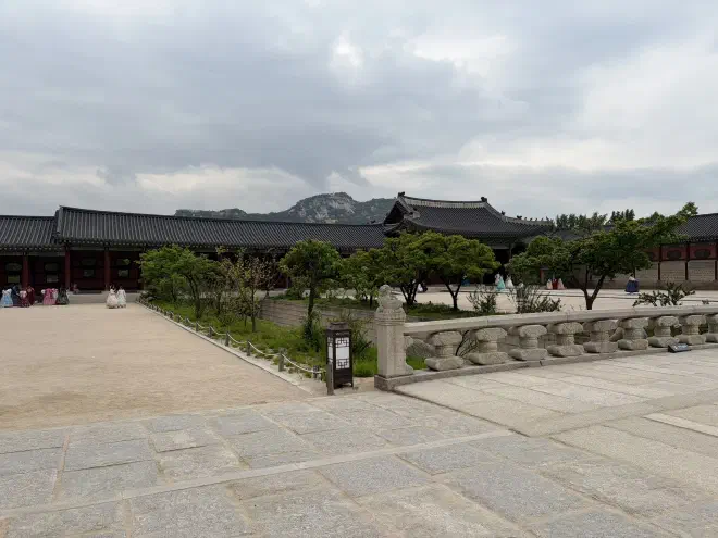 A stone paved courtyard with a row of small trees in the middle and traditional Korean building in the background