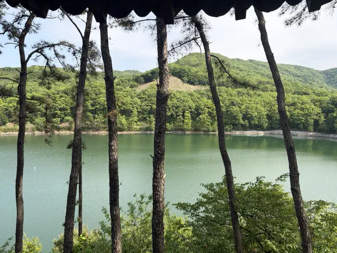 Thin trees in the foreground, behind them a blue-green lake with trees and hills behind it