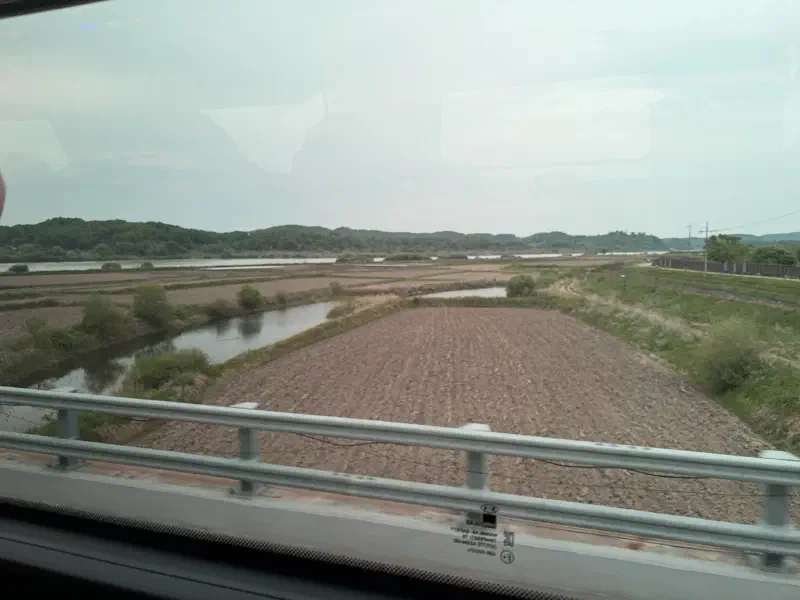 Fields of Rice Paddies