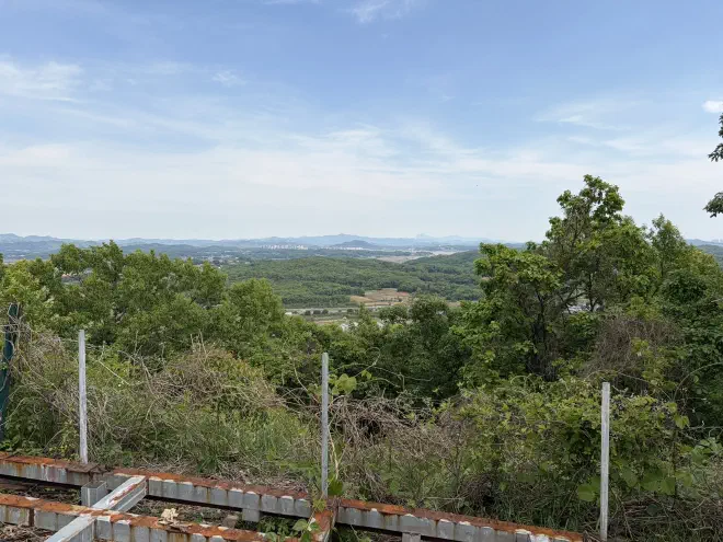 A view from the observatory over South Korea A metal fence with trees in the foreground and in the distance the flat tree covered landscape of South Korea