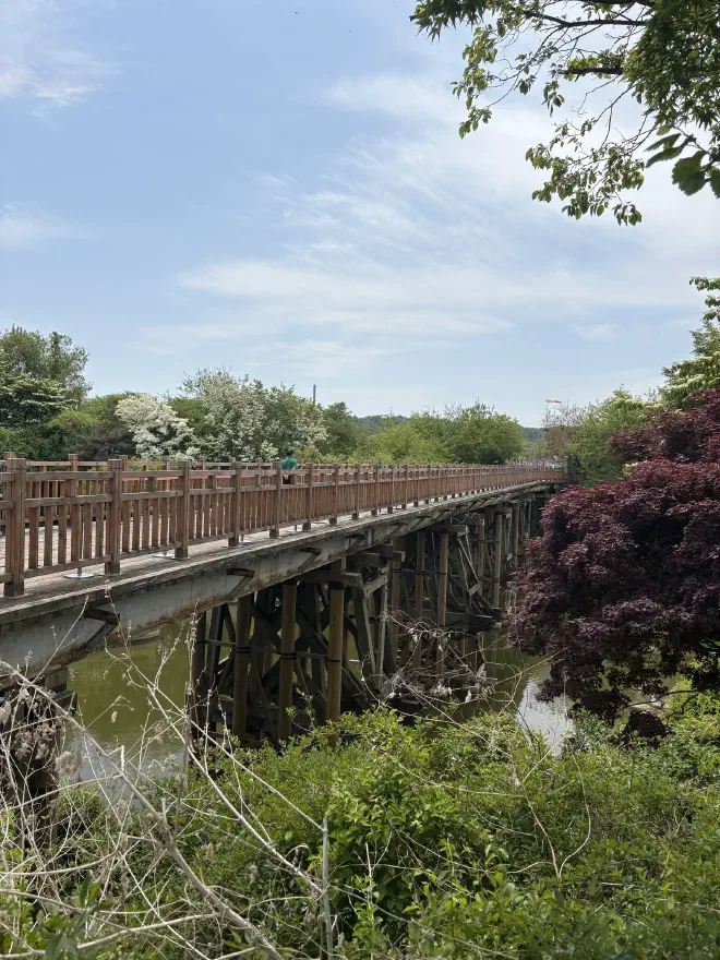A wooden trestle bridge with a handrail over a small lake surrounded by trees