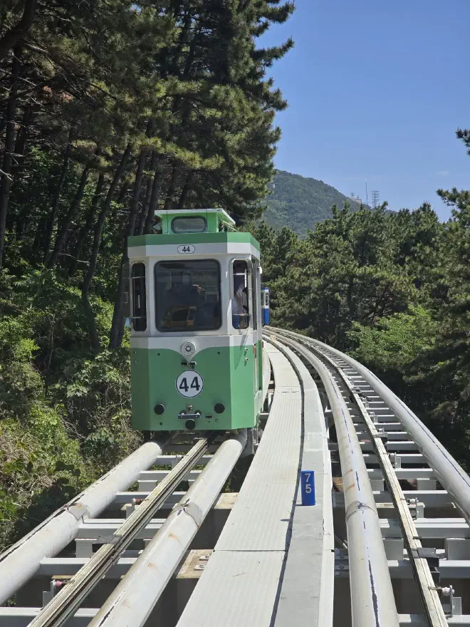 A green tram on the Haeundae Blueline A green cab sits on elevated rails with forest either side