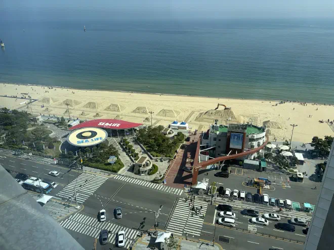 The view from our hotel window A birds-eye view of a four lane road, a 'Seal Life' center, and a beach