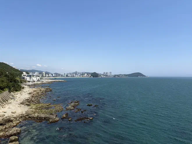 A calm ocean next to a rocky beach with a city in the distance