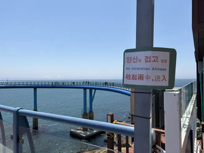 No umbrellas allowed A blue metal walkway on posts sits above the ocean with people walking along it and a sign in the foreground says 'No umbrellas allowed'