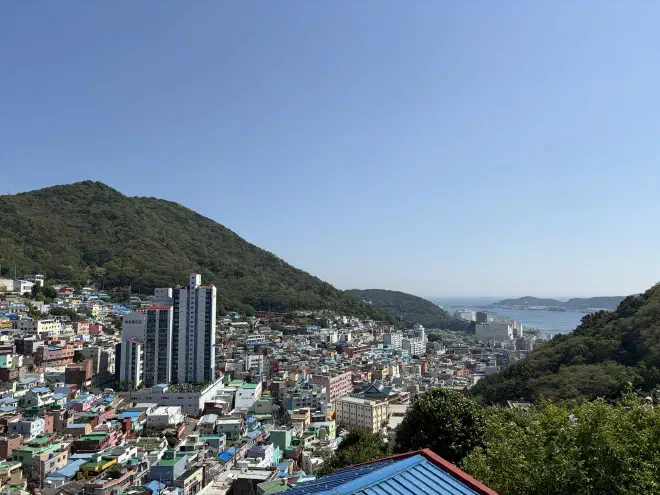 A view over the city towards the ocean A city filled with different coloured buildings sprawling up a hillside and down towards the ocean in the background