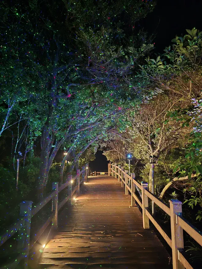 A wooden walkway overhung by trees is illuminated by dots of light from lasers at night