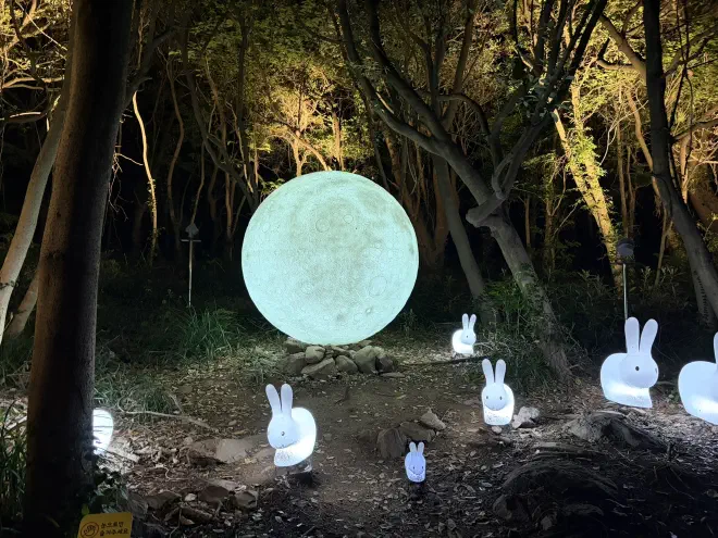 White lit up bunnies in front of a 4ft moon sit amongst trees at night