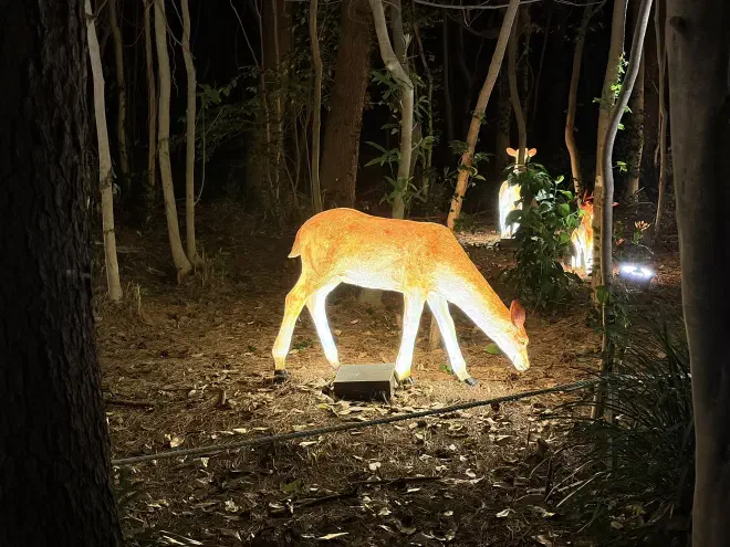 A light-up fawn between tree trunks at night
