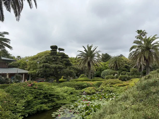 A green pond sits amongst dense foliage with trees and a building in the background