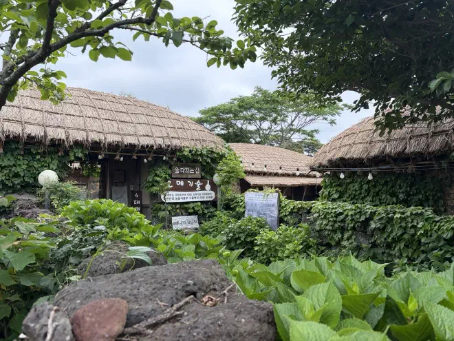 Ivy covered walls with three thatch-roofed traditional houses in the background