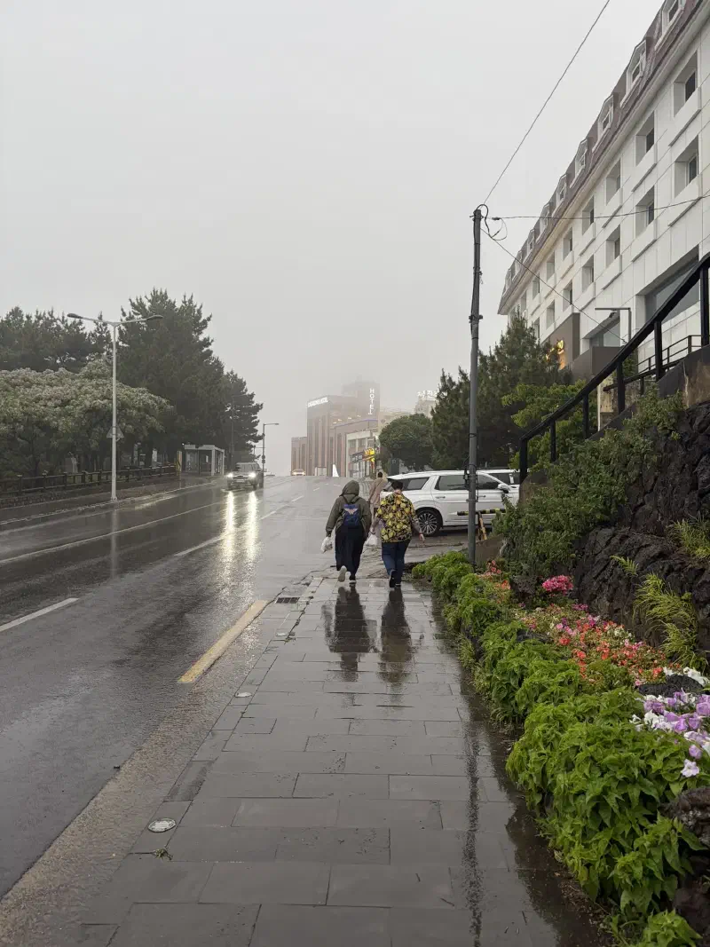 Two people walk down a rainy path besides a road