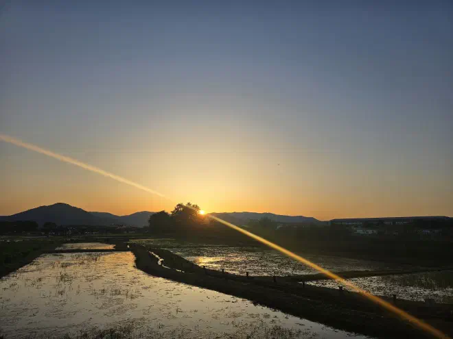 The sun setting over a mountain with rice paddies in the foreground