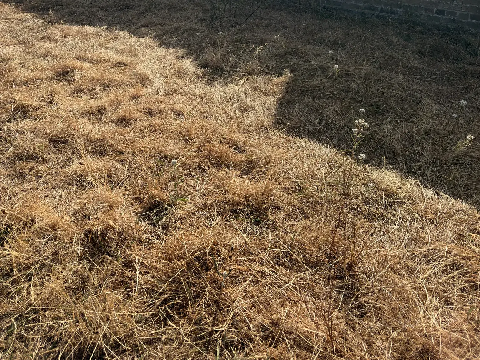 The Month Without Rain