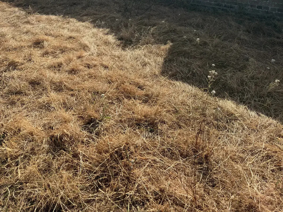 The Month Without Rain
