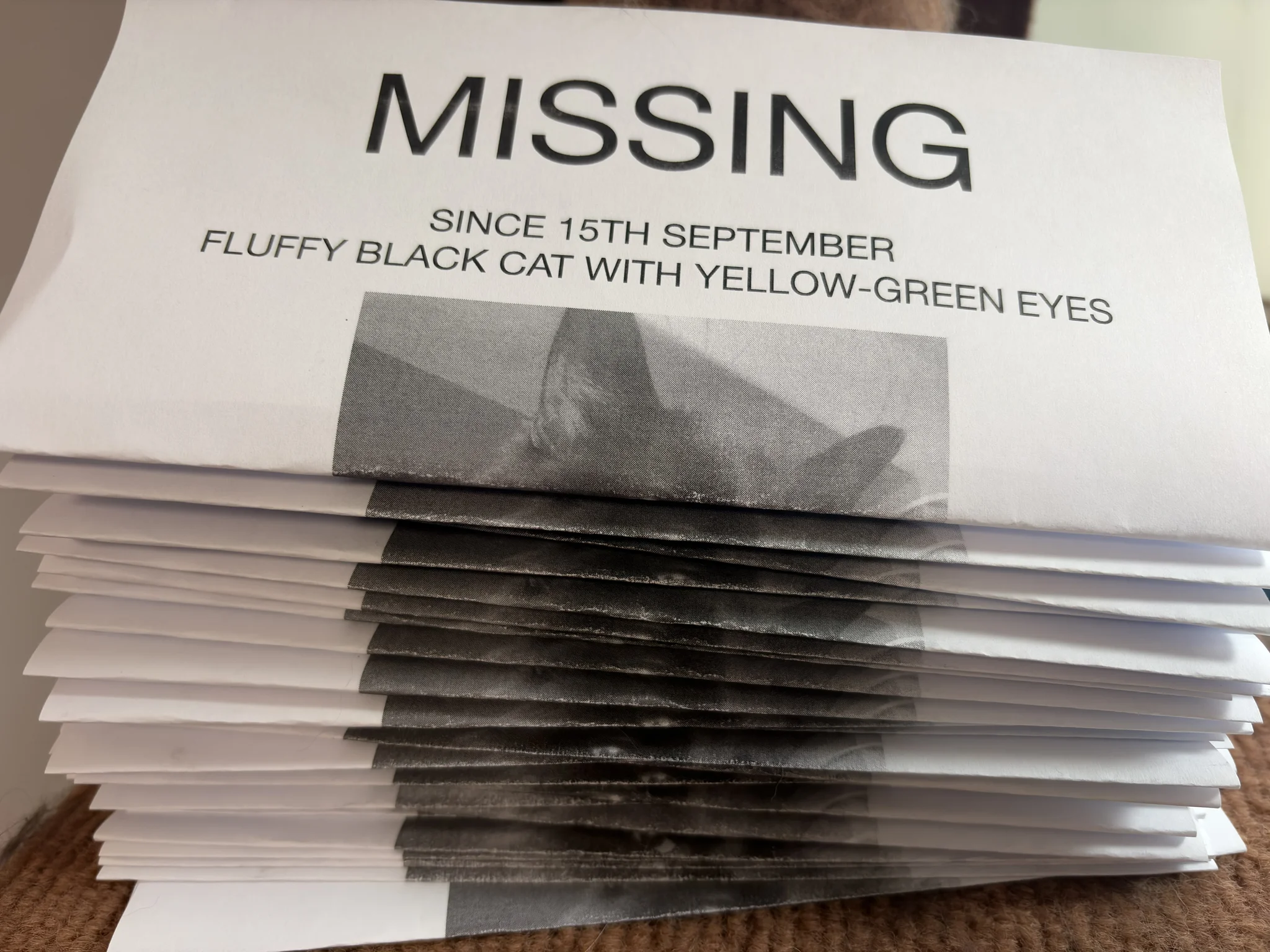 Where are you, Fluff?